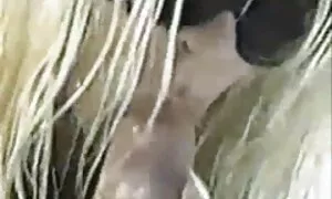 Kambing melemparkan lemak secara langsung ke dalam mulut yang meninggalkan awek comel seks air liur.