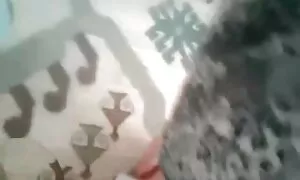 Beruang bekerja pada kucing yang kuat melayu cantik lucah berusia 19 tahun, dan anak perempuan, dan kucing kuda.